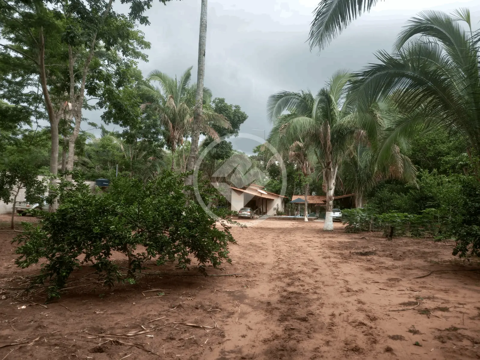 Imagem 1 - Chácara em Centro, Acorizal - MT