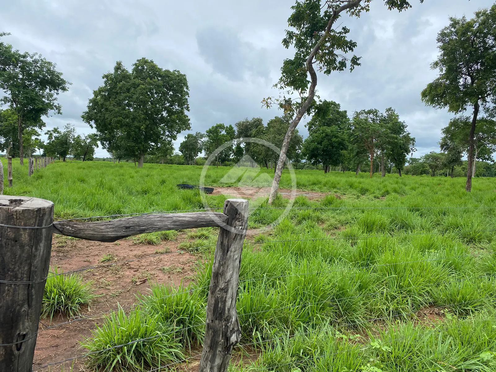 Imagem 5 - Fazenda em Garçês, Cáceres - MT
