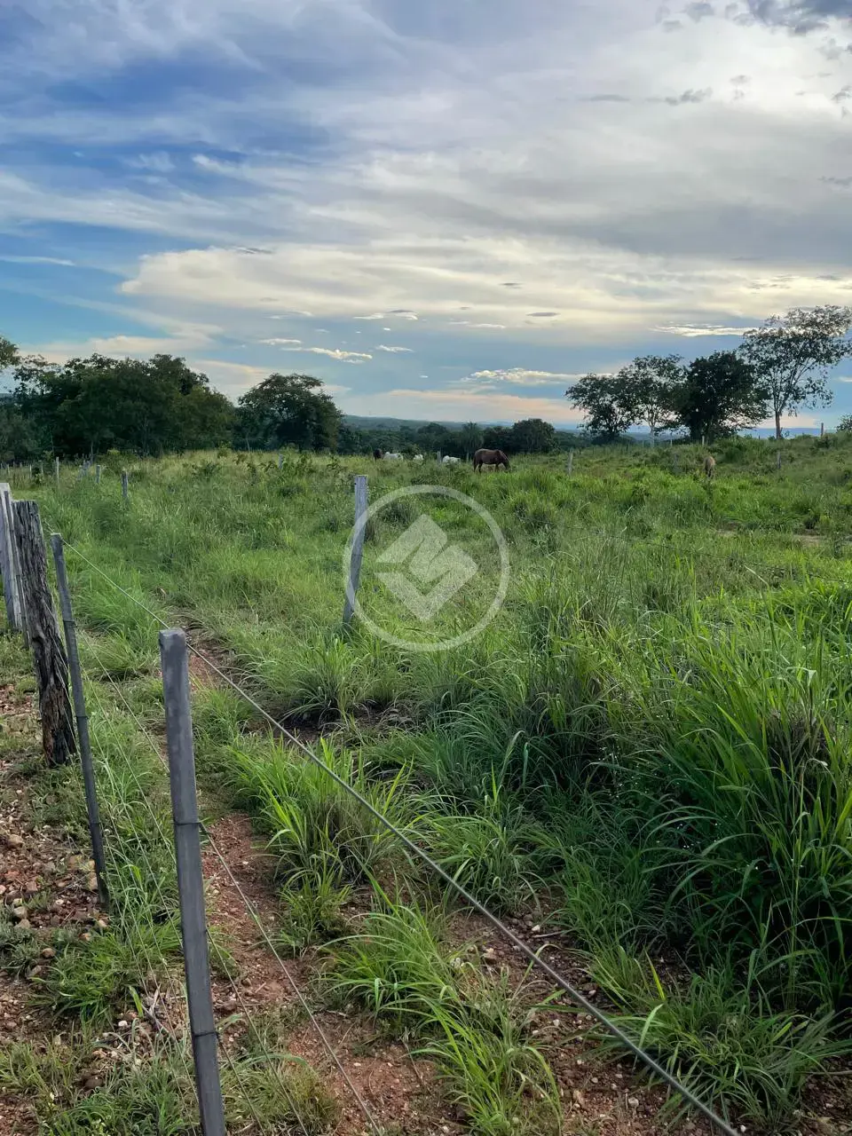 Image 41 - Chácara em Zona Rural, Acorizal - MT