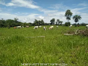 Fazenda FLORADA DA SERRA, Chapada dos Guimarães - MT — foto 1