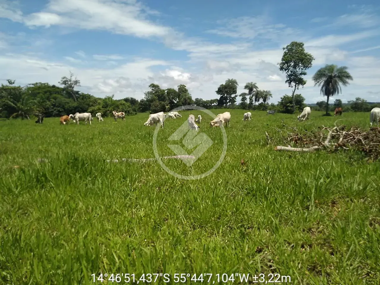 Imagem 1 - Fazenda em FLORADA DA SERRA, Chapada dos Guimarães - MT
