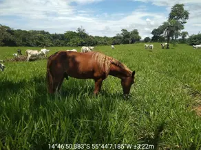 Fazenda FLORADA DA SERRA, Chapada dos Guimarães - MT — foto 2