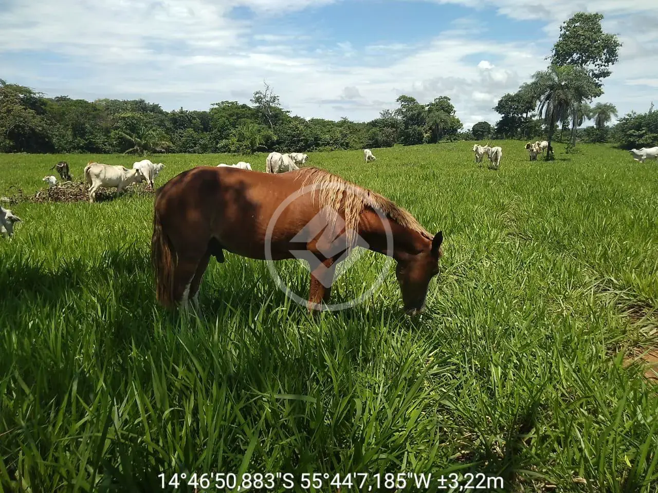 Imagem 1 - Fazenda em FLORADA DA SERRA, Chapada dos Guimarães - MT
