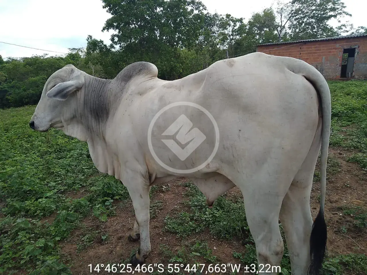 Imagem 2 - Fazenda em FLORADA DA SERRA, Chapada dos Guimarães - MT
