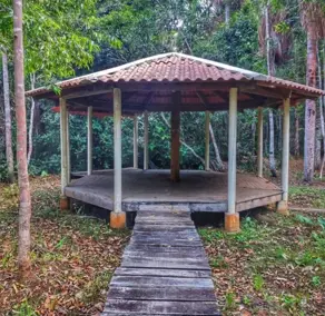 Imagem 4 - Sítio em Área Rural de Cuiabá, Cuiabá - MT