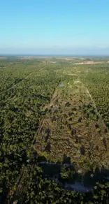 Imagem 4 - Sítio em ZONA RURAL, Santo Antônio de Leverger - MT
