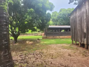 Imagem 5 - Chácara em ZONA RURAL, Santo Antônio de Leverger - MT