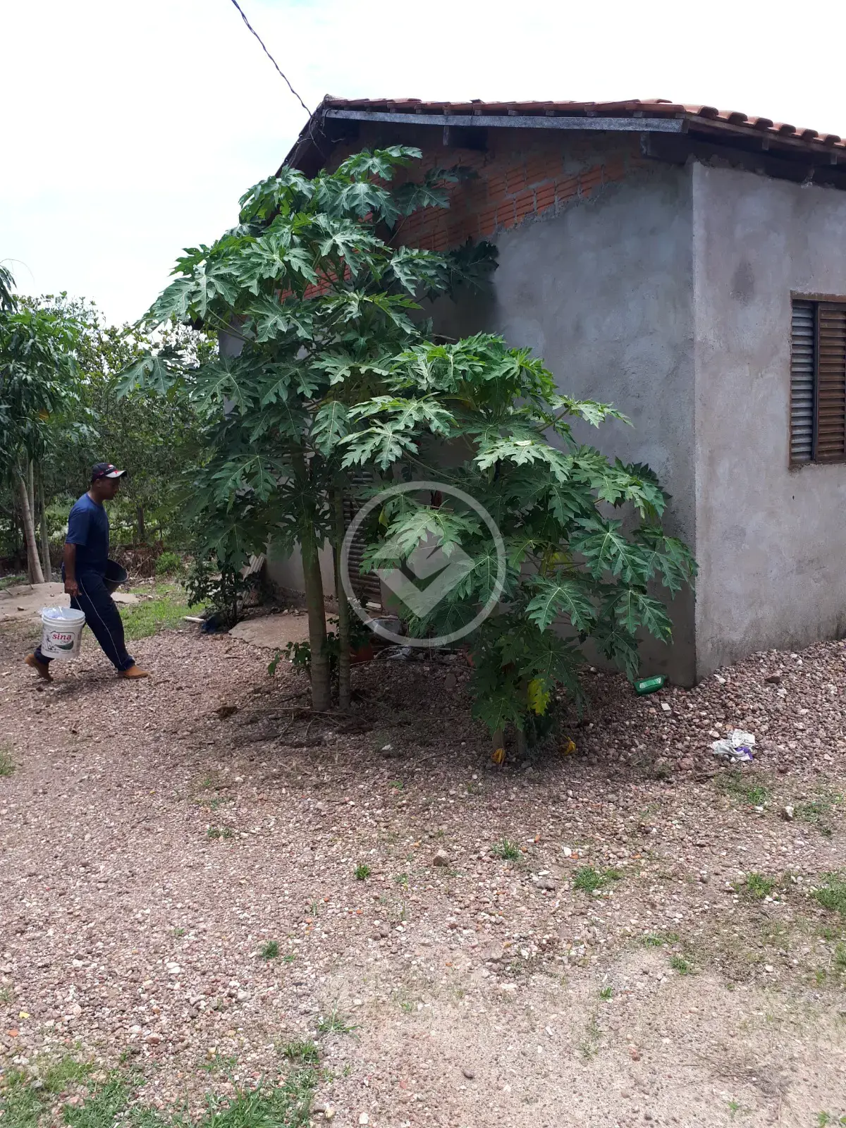 Imagem 1 - Chácara em Novo Mundo, Várzea Grande - MT