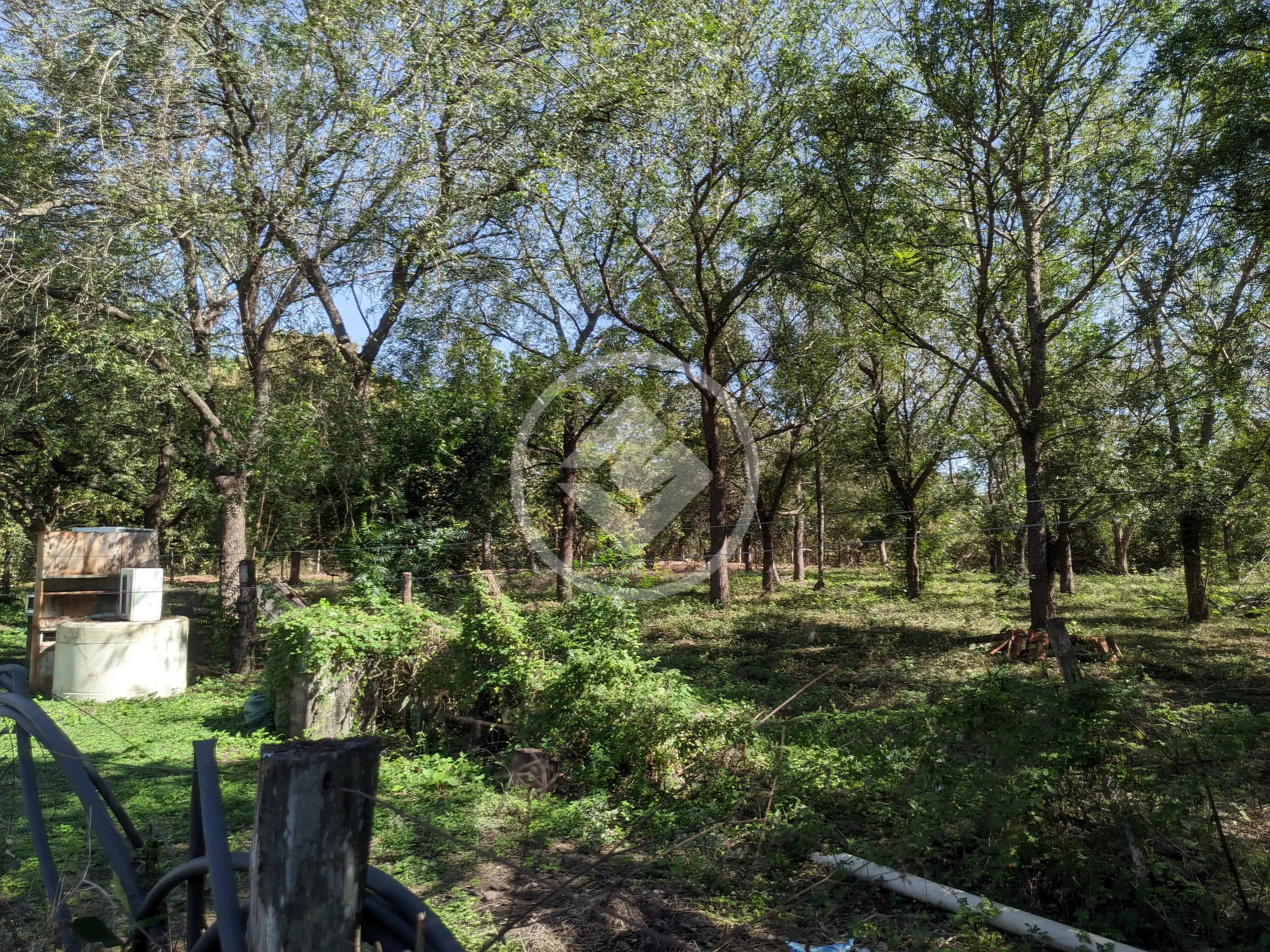 Image 36 - Sítio em ZONA RURAL, Santo Antônio de Leverger - MT