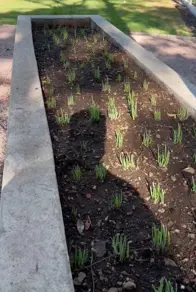 Imagem 4 - Terreno Condomínio em CENTRO, Chapada dos Guimarães - MT