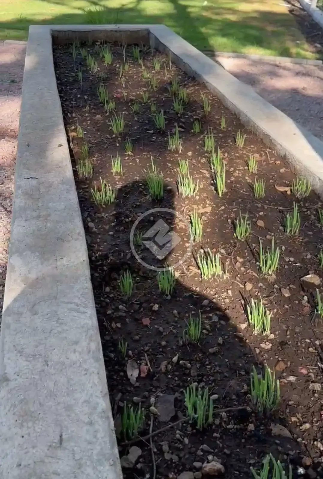 Imagem 4 - Terreno Condomínio em CENTRO, Chapada dos Guimarães - MT