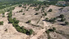 Imagem 3 - Fazenda em COXIPO DO OURO, Cuiabá - MT