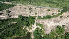 Imagem 4 - Fazenda em COXIPO DO OURO, Cuiabá - MT