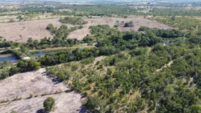Imagem 6 - Fazenda em COXIPO DO OURO, Cuiabá - MT