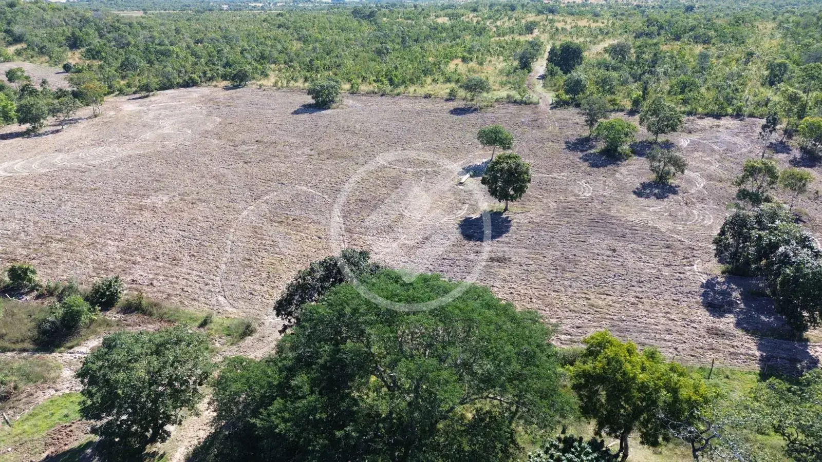 Image 9 - Fazenda em COXIPO DO OURO, Cuiabá - MT