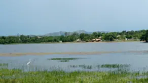 Imagem 3 - Chácara em Área Rural de Cuiabá, Cuiabá - MT