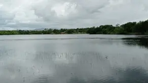 Imagem 4 - Chácara em Área Rural de Cuiabá, Cuiabá - MT