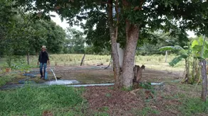 Imagem 4 - Chácara em Zona Rural, Alto Paraguai - MT