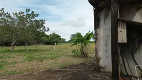 Imagem 2 - Chácara em Zona Rural, Alto Paraguai - MT