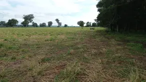 Chácara Zona Rural, Alto Paraguai - MT — foto 1