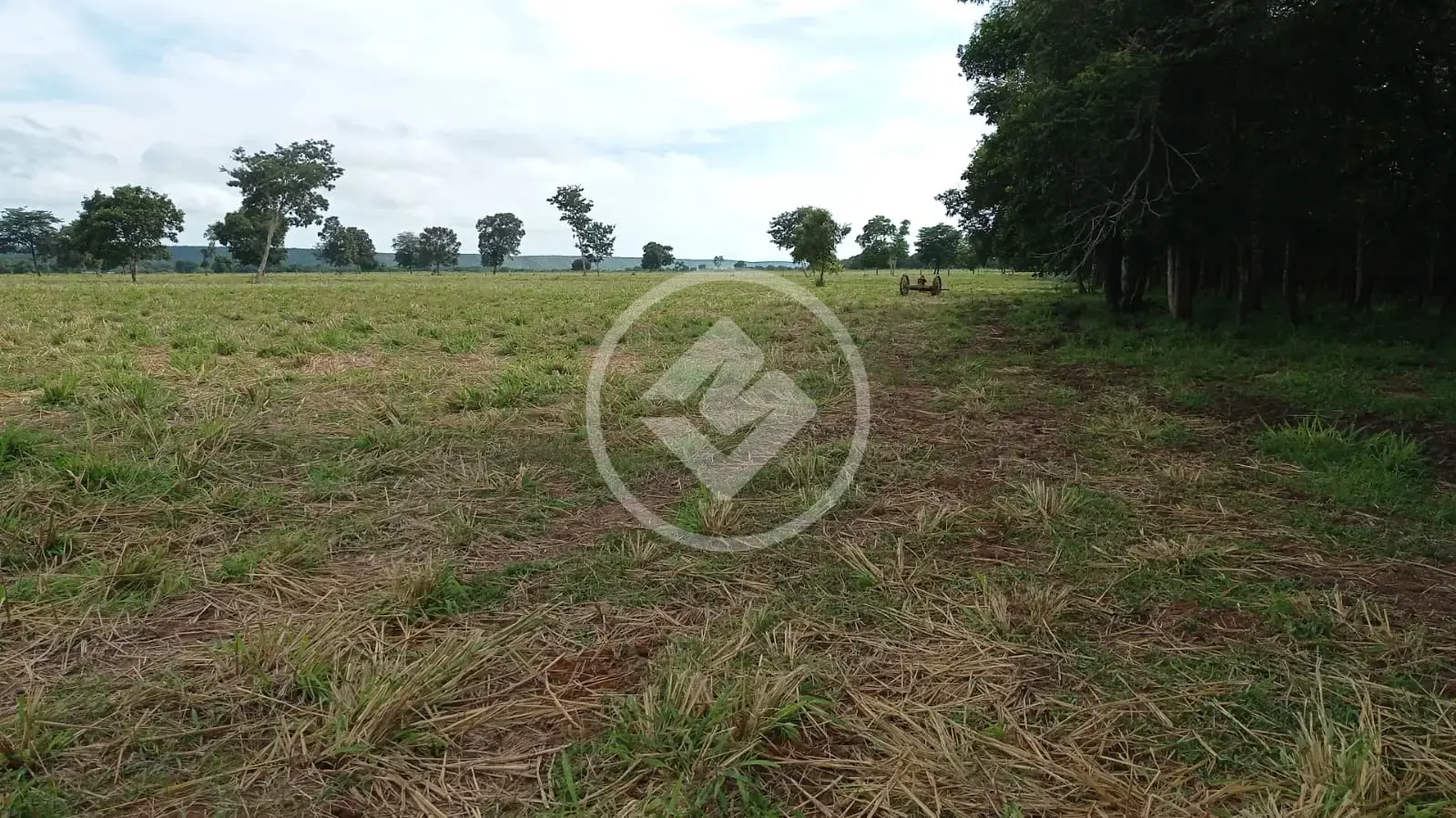 Imagem 1 - Chácara em Zona Rural, Alto Paraguai - MT