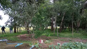 Imagem 3 - Chácara em Zona Rural, Alto Paraguai - MT