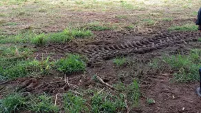 Chácara Zona Rural, Alto Paraguai - MT — foto 2