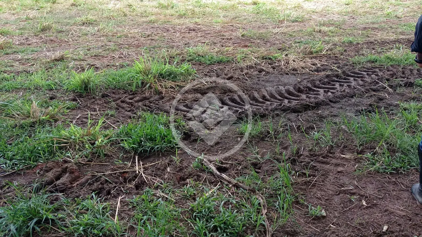Image 2 - Chácara em Zona Rural, Alto Paraguai - MT