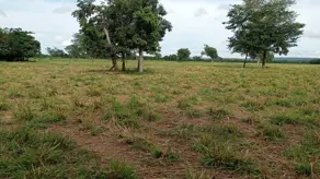 Imagem 5 - Chácara em Zona Rural, Alto Paraguai - MT