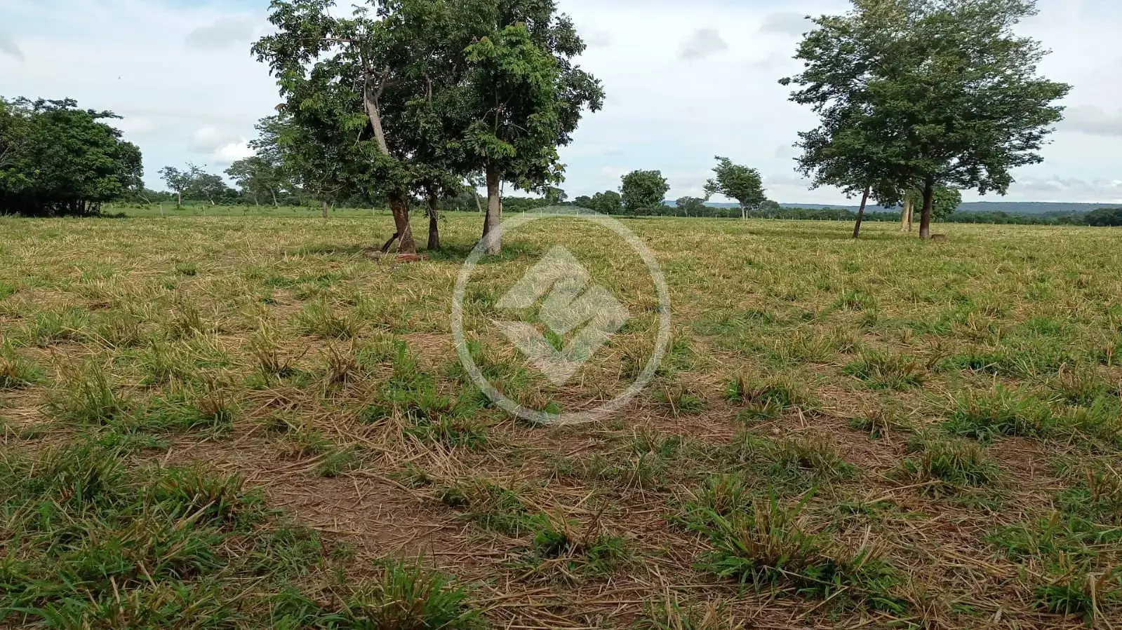 Image 6 - Chácara em Zona Rural, Alto Paraguai - MT