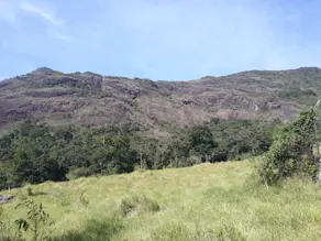 Terreno Comercial Quinta das Flores, Muriaé - MG — foto 1