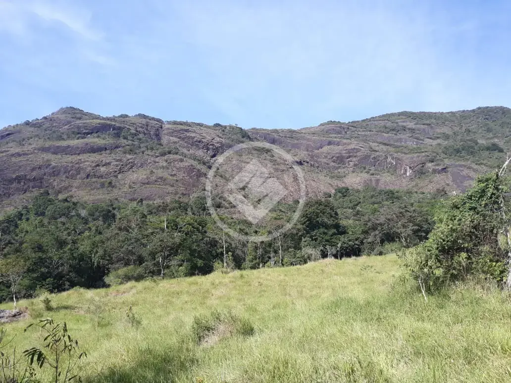 Imagem 1 - Terreno Comercial em Quinta das Flores, Muriaé - MG
