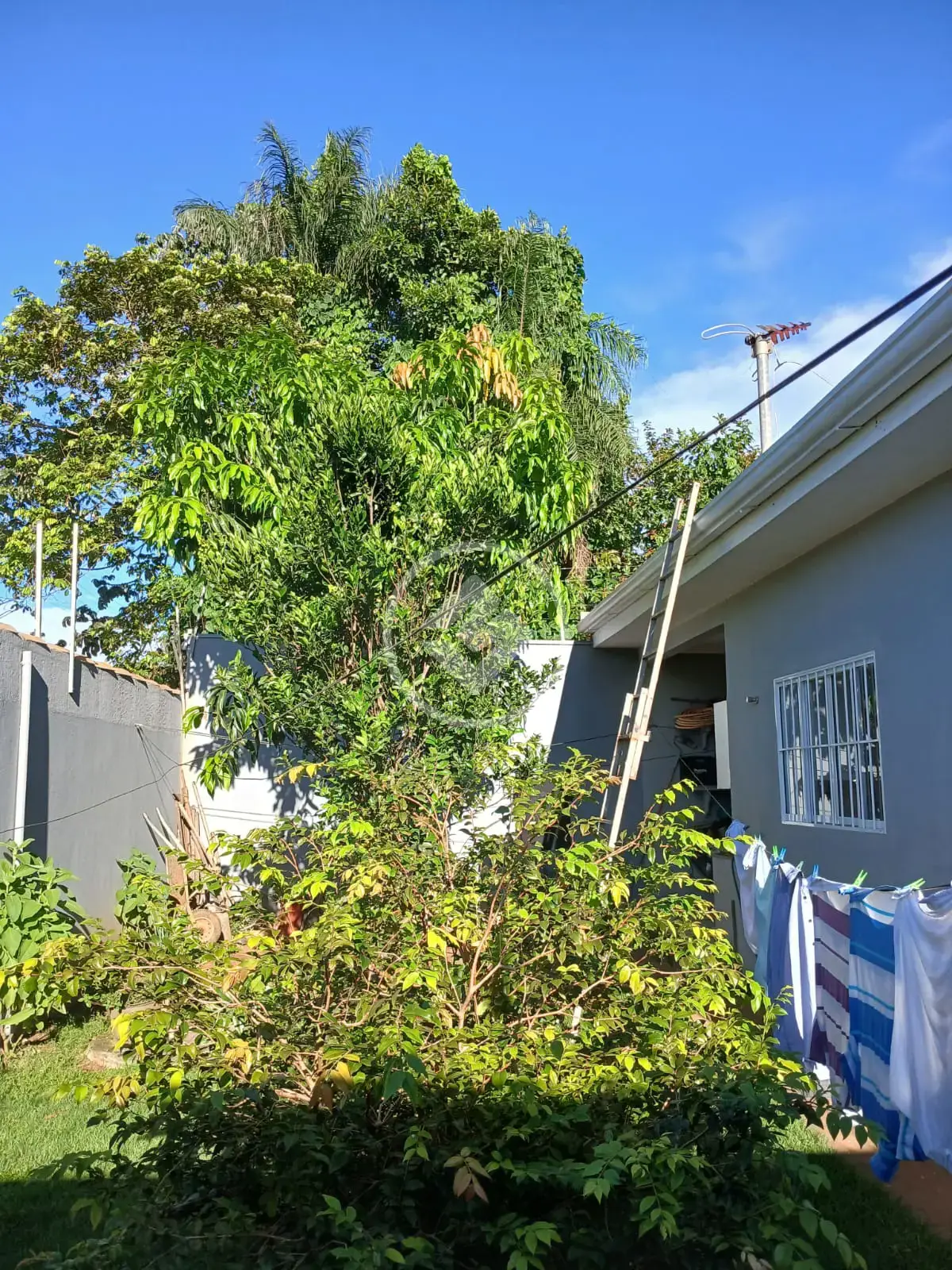 Imagem 1 - Casa em CENTRO, Chapada dos Guimarães - MT