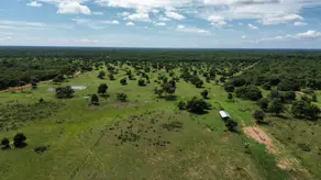 Fazenda bandeira, Cuiabá - MT — foto 2