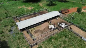 Imagem 4 - Fazenda em bandeira, Cuiabá - MT