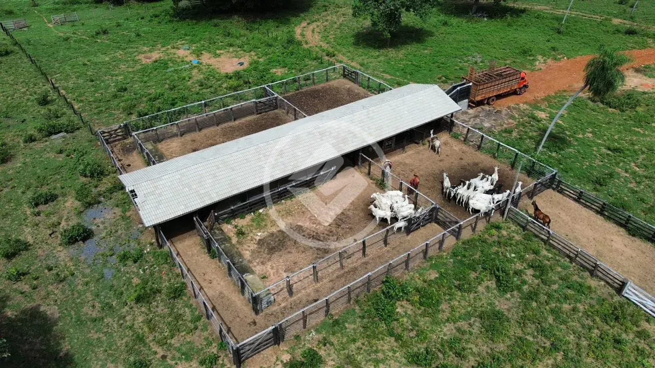 Imagem 4 - Fazenda em bandeira, Cuiabá - MT