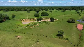 Imagem 6 - Fazenda em bandeira, Cuiabá - MT