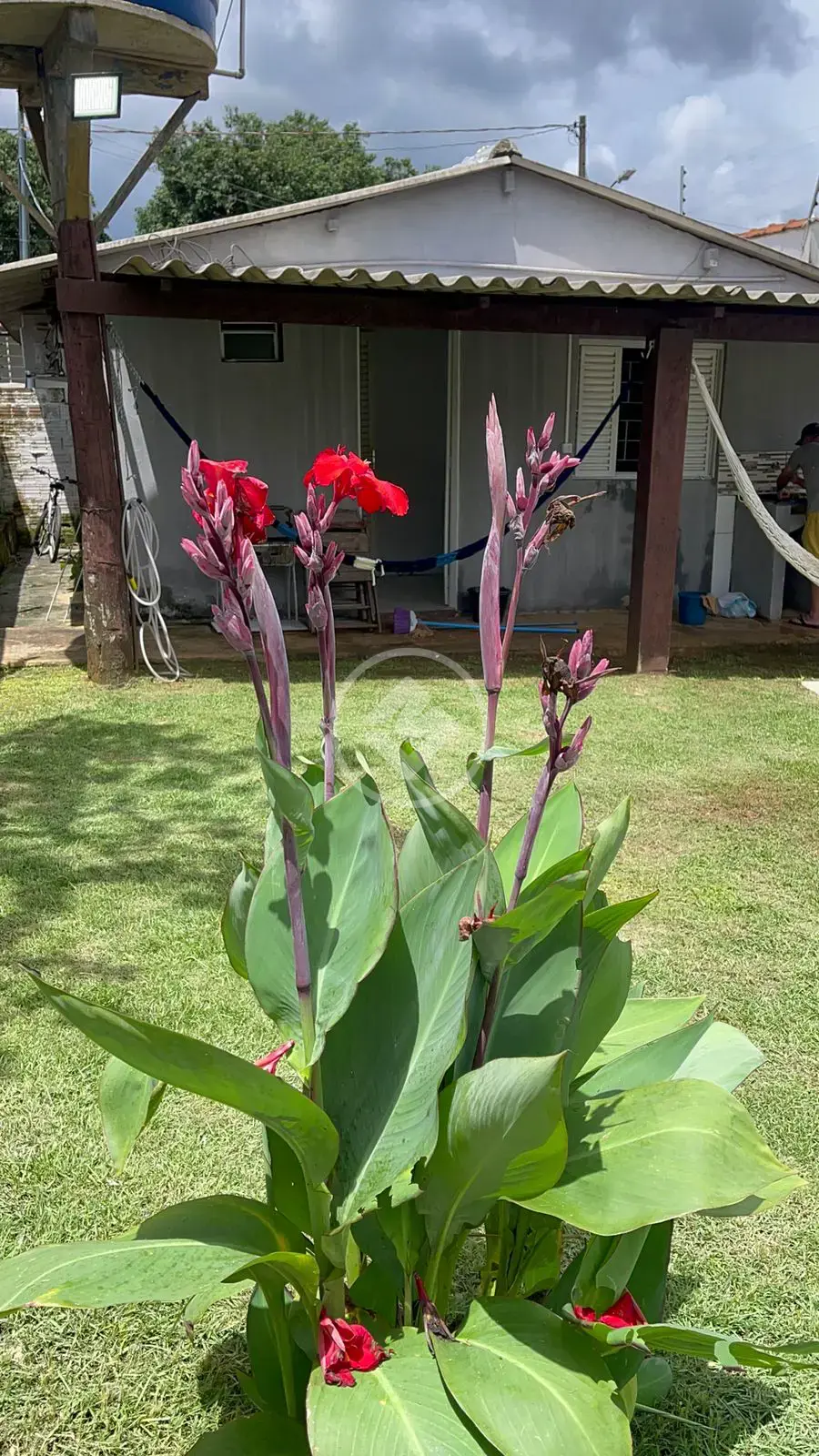 Imagem 4 - Casa em Centro, Chapada dos Guimarães - MT