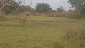 Imagem 4 - Terreno em Pedra 90, Cuiabá - MT