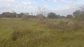 Imagem 6 - Terreno em Pedra 90, Cuiabá - MT