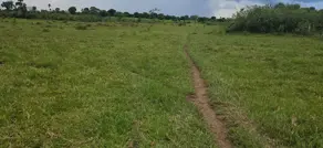 Imagem 2 - Sítio em Centro, Poconé - MT