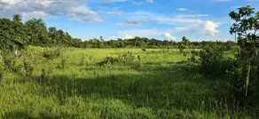 Imagem 3 - Sítio em Centro, Poconé - MT