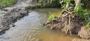 Imagem 5 - Sítio em Centro, Poconé - MT