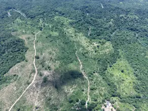 Imagem 2 - Fazenda em CENTRO, Chapada dos Guimarães - MT
