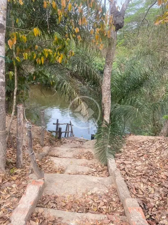Imagem 4 - Chácara em COXIPO, Cuiabá - MT