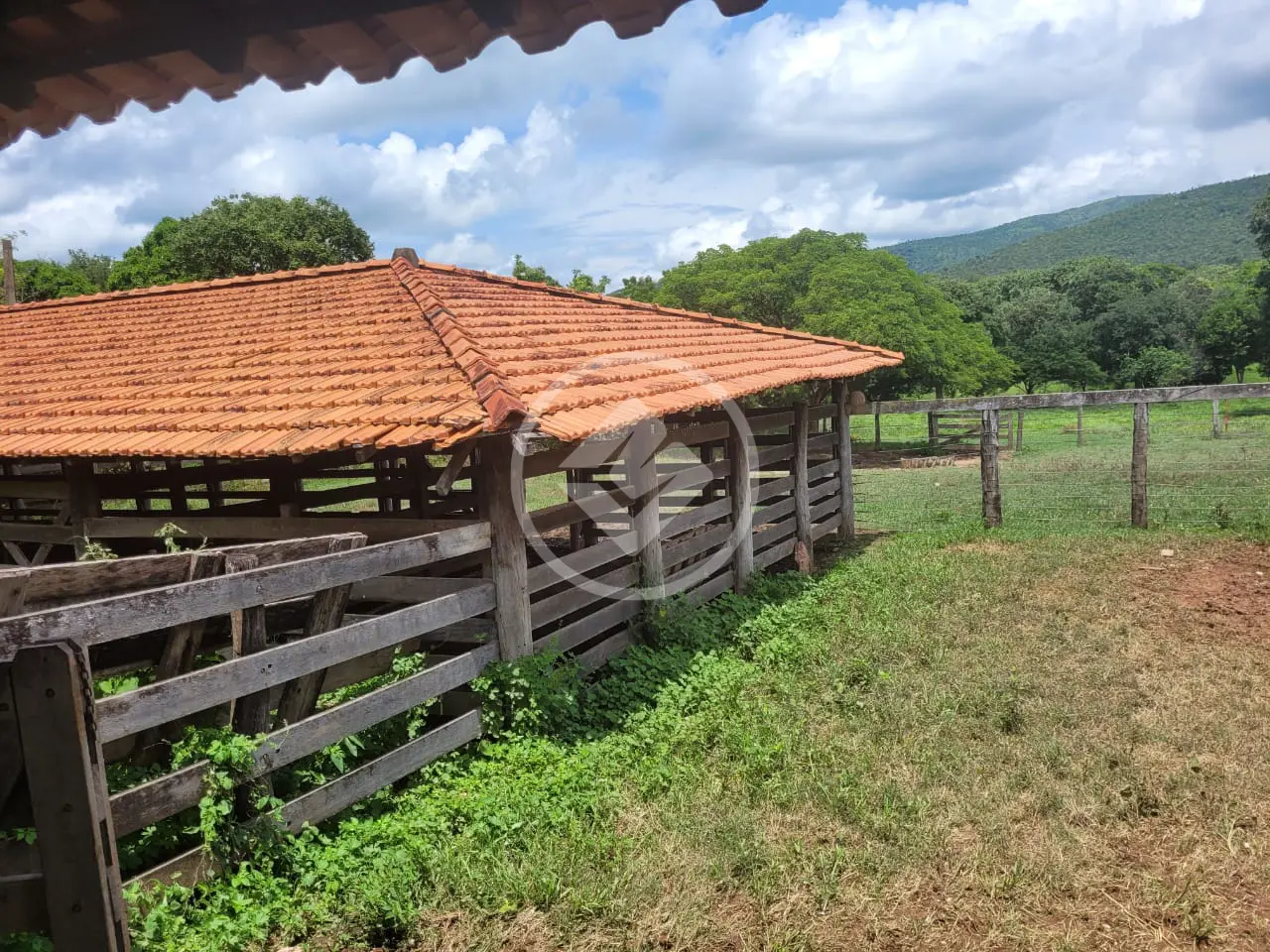 Imagem 2 - Fazenda em Zona Rural, Acorizal - MT