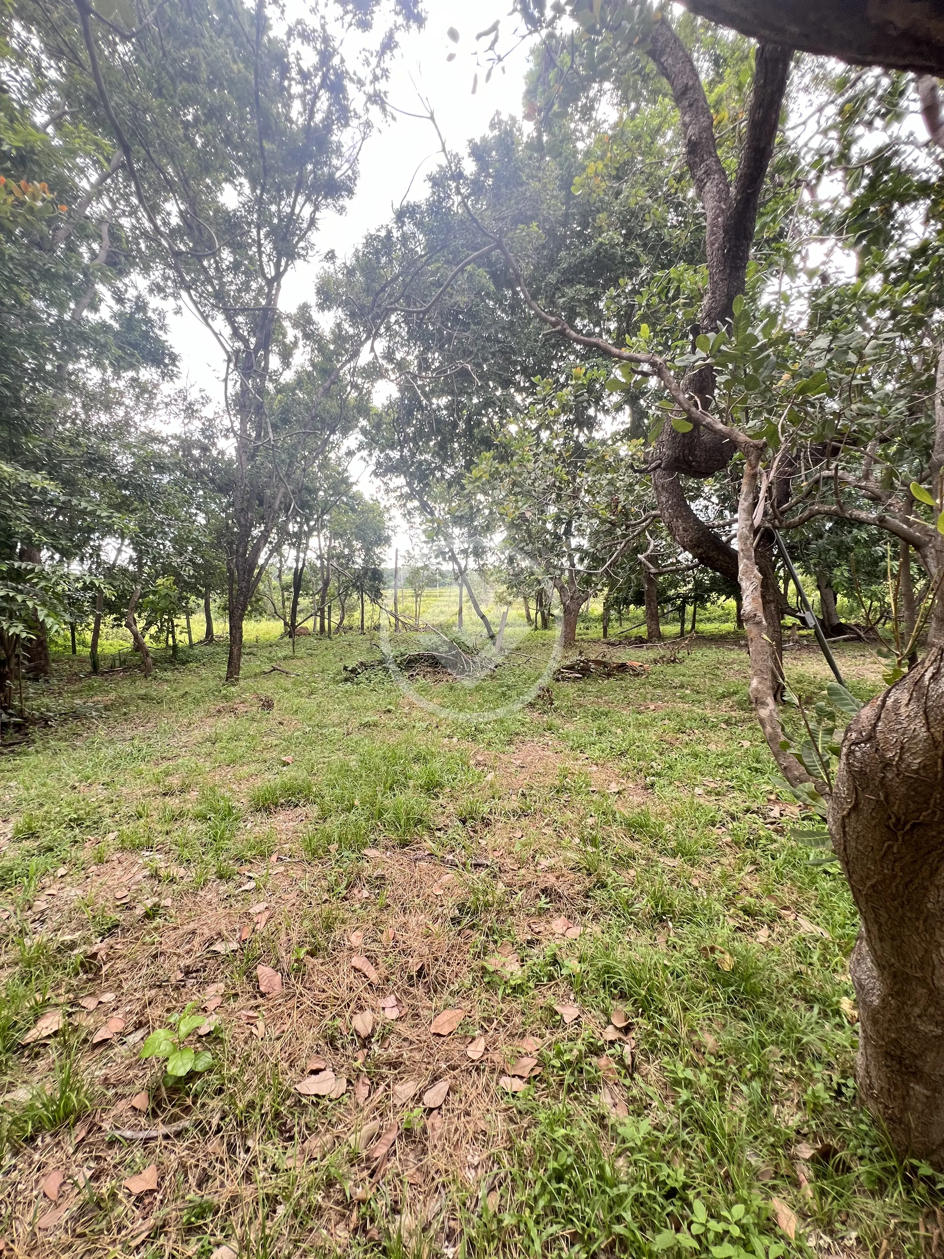 Image 10 - Chácara em Ribeirão do Lipa, Cuiabá - MT