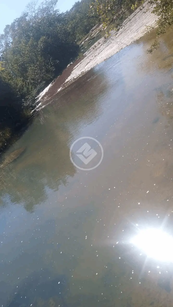 Imagem 4 - Fazenda em CENTRO, Rosário Oeste - MT