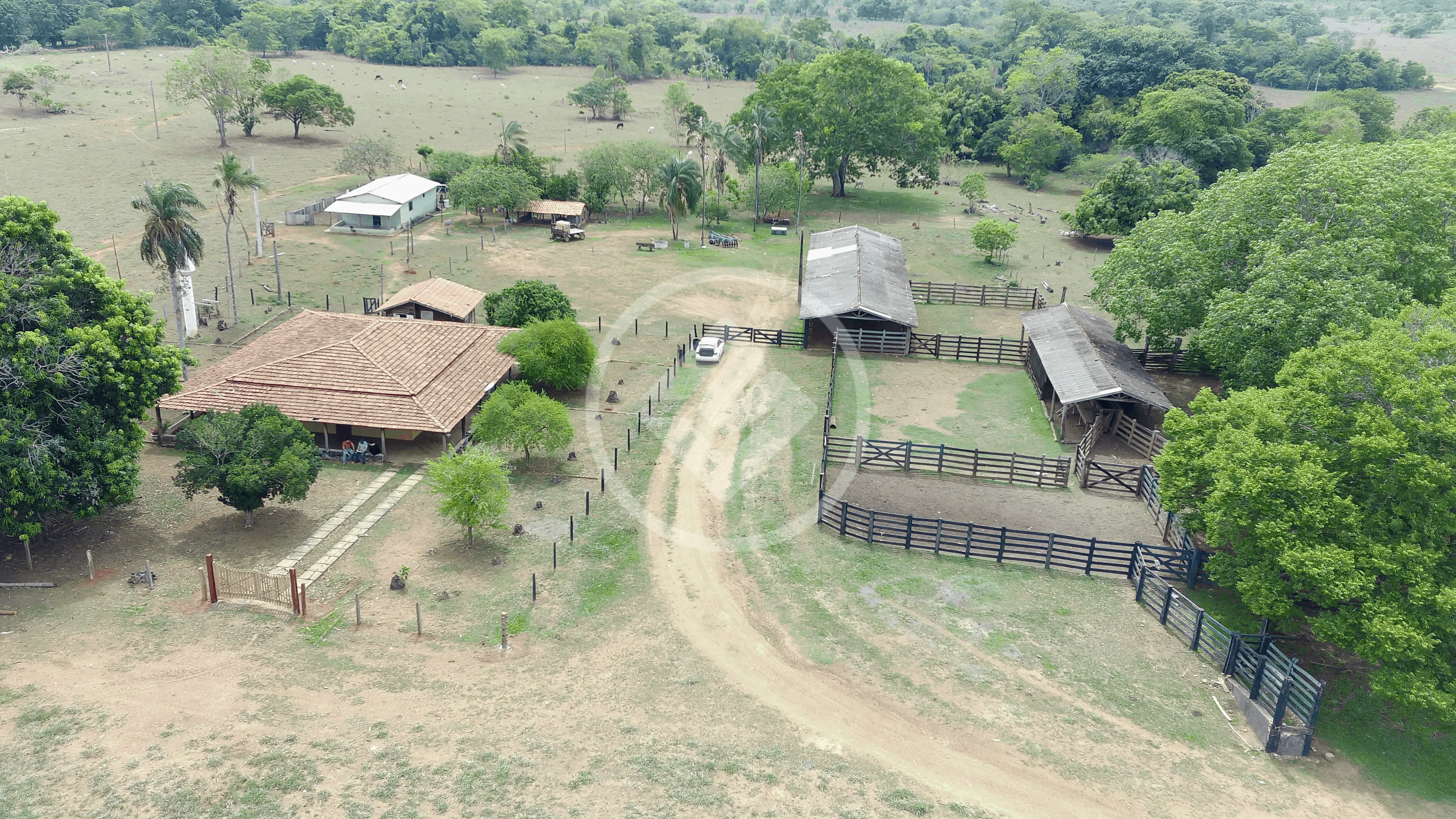 Fazenda CENTRO, Diamantino - MT — foto 1