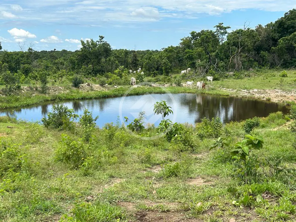 Imagem 5 - Fazenda em ZONA RURAL, Cuiabá - MT
